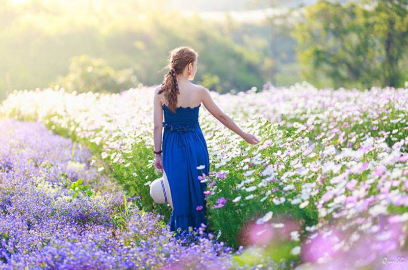 Những vạt hoa rực rỡ tại F cánh đồng hoa Đà Lạt tour check in đà lạt những địa điểm hot nhất 2020