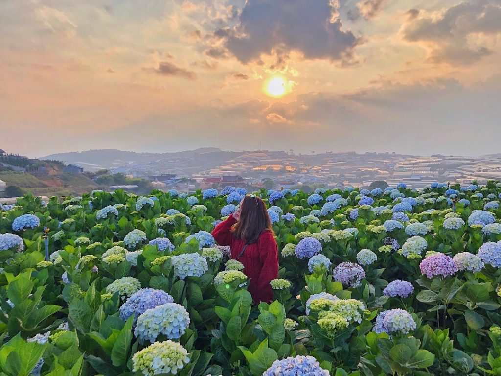 Tour Đà Lạt 1 Ngày –  Du lịch Đà Lạt 3 ngày 2 đêm cùng TA Travel