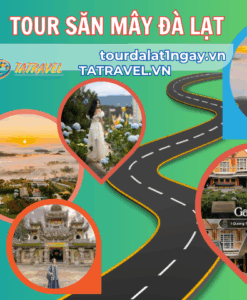 Tour Săn Mây Đà Lạt
