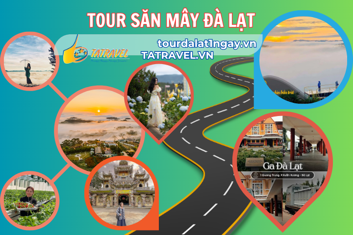 Tour Săn Mây Đà Lạt