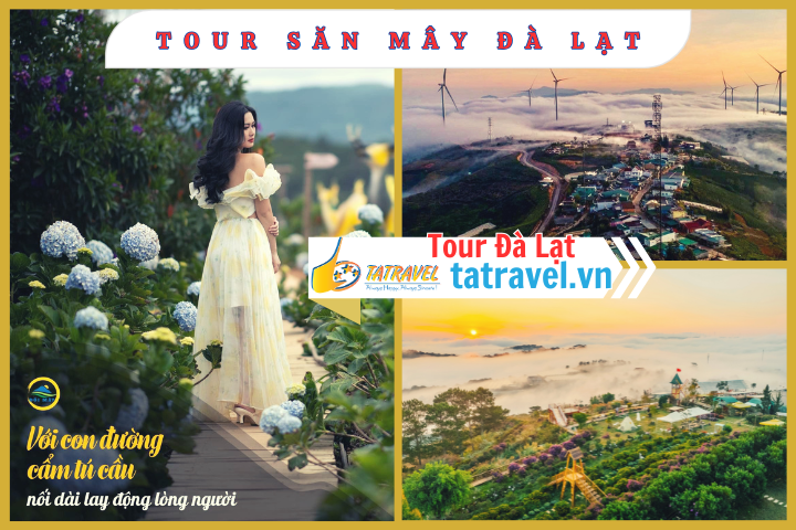 Tour Đà Lạt 1 Ngày –  Du lịch Đà Lạt 3 ngày 2 đêm cùng TA Travel