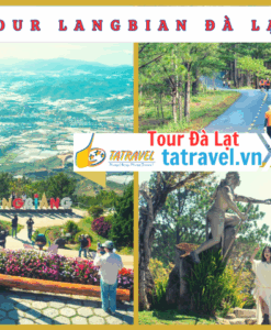 Tour Langbiang Đà Lạt 1 ngày - Tour du lịch Đà Lạt trải nghiệm chinh phục đỉnh langbiang -tatravel.vn