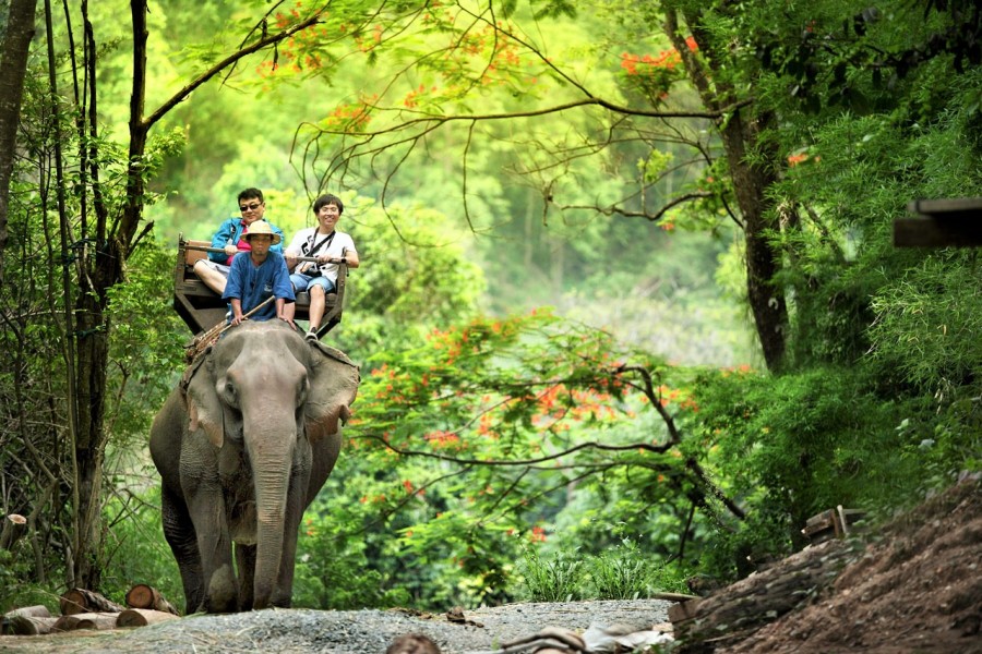 Cưỡi voi du ngoạn núi rừng tại thác Prenn Đà Lạt tour 3 thác đà lạt