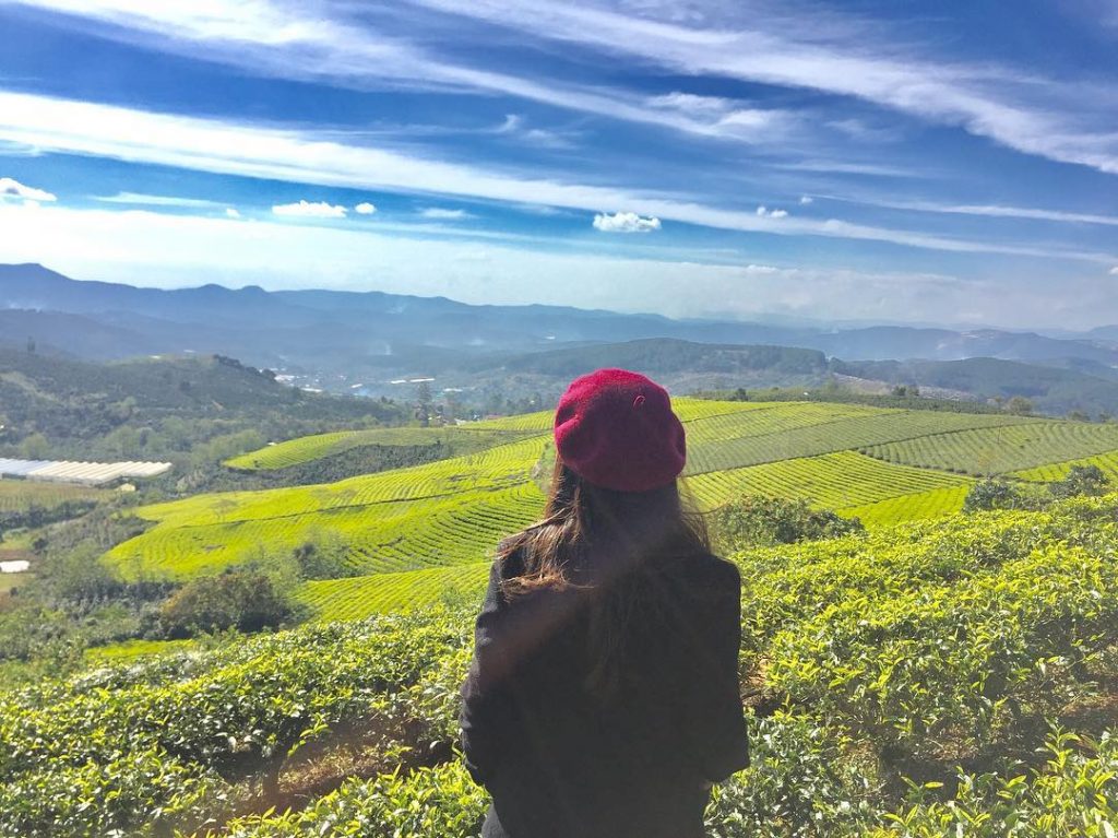 Tour Đà Lạt 1 Ngày –  Du lịch Đà Lạt 3 ngày 2 đêm cùng TA Travel
