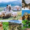 Tour Check-in Đà Lạt những địa điểm hot nhất 2025