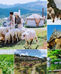 Tour Check-in Đà Lạt những địa điểm hot nhất 2025