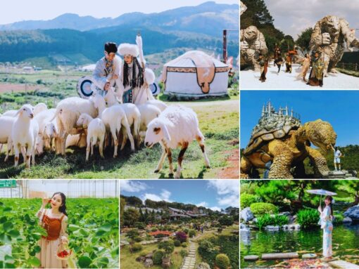 Tour Check-in Đà Lạt những địa điểm hot nhất 2025