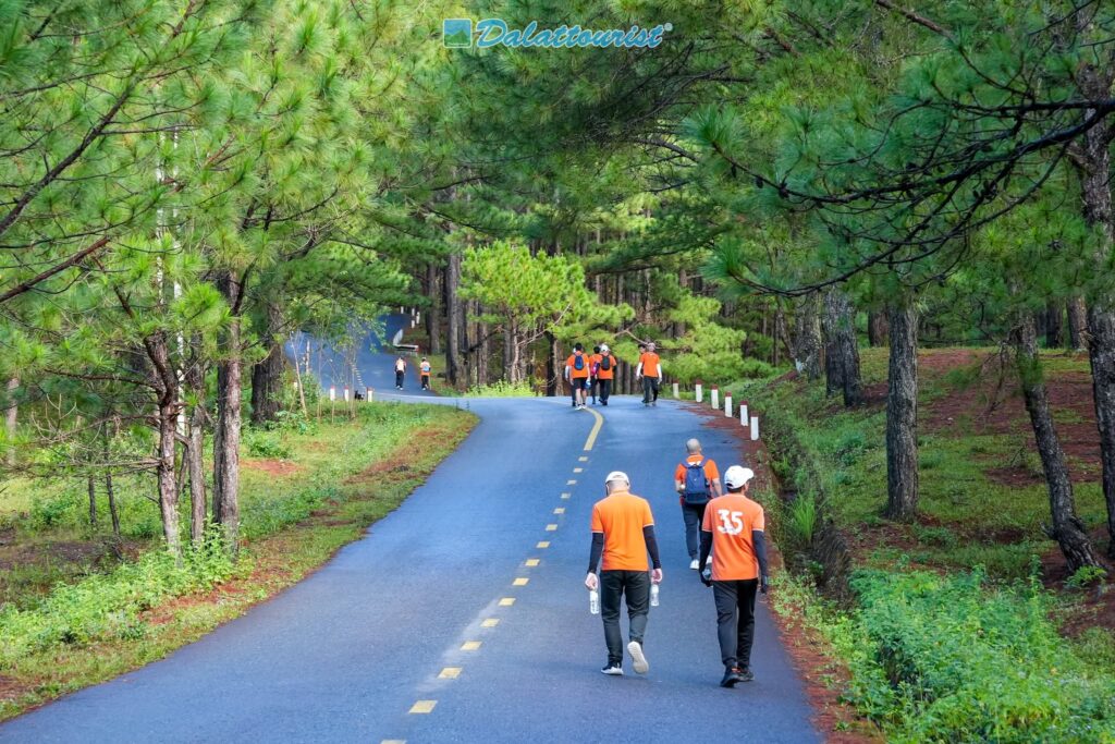 Tour Đà Lạt 1 Ngày –  Du lịch Đà Lạt 3 ngày 2 đêm cùng TA Travel