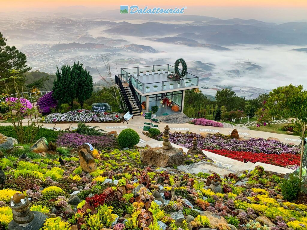 Tour Đà Lạt 1 Ngày –  Du lịch Đà Lạt 3 ngày 2 đêm cùng TA Travel