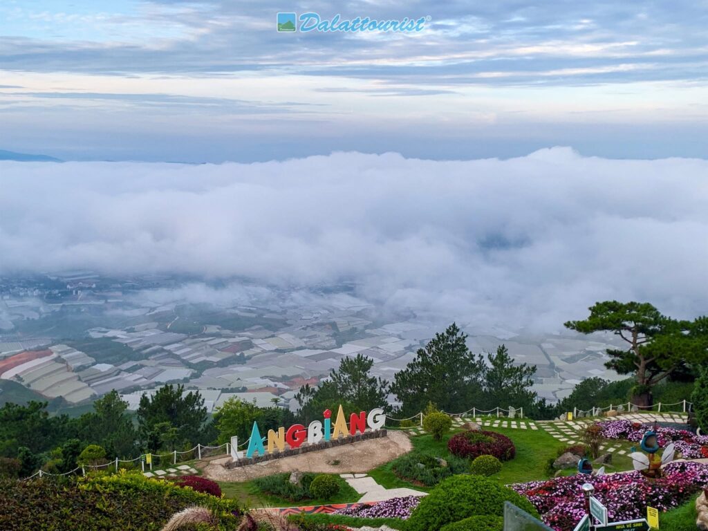 Tour Đà Lạt 1 Ngày –  Du lịch Đà Lạt 3 ngày 2 đêm cùng TA Travel