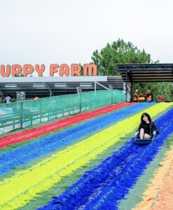 Trượt máng cầu vồng khô siêu thú vi - Tour Đà Lạt 1 ngày check-in những địa điểm hit nhất 2025 Puppy Farm