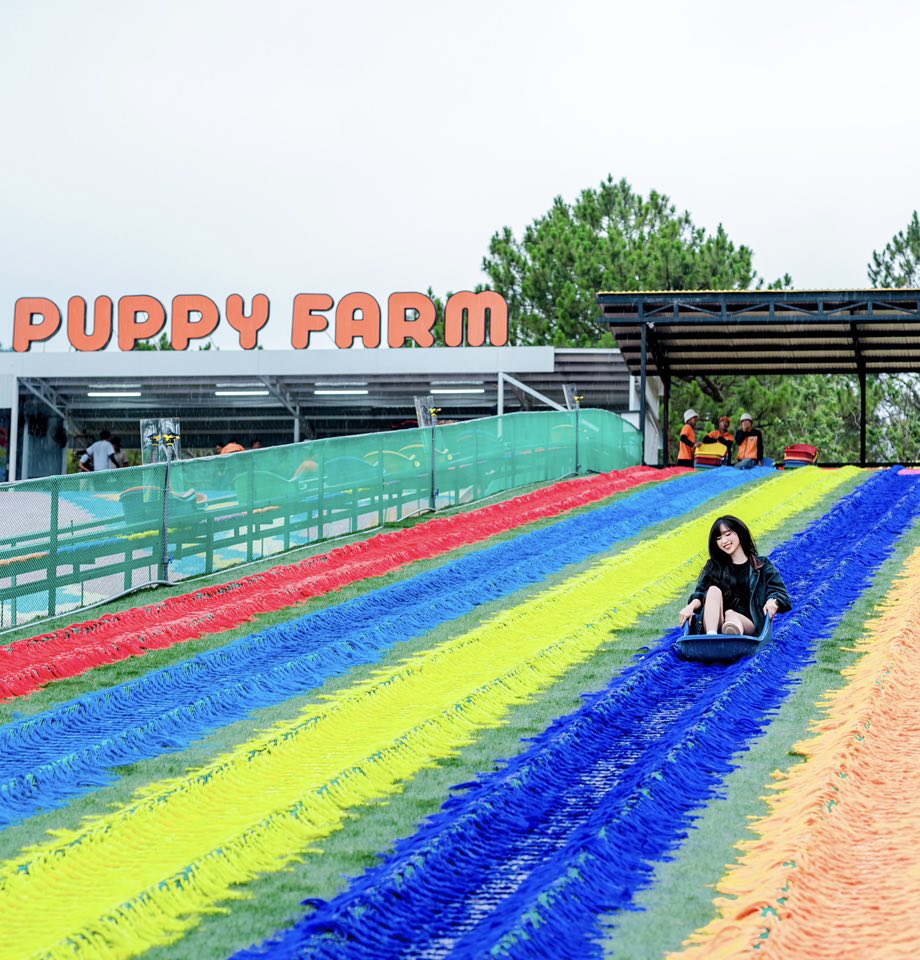 Trượt máng cầu vồng khô siêu thú vi - Tour Đà Lạt 1 ngày check-in những địa điểm hit nhất 2025 Puppy Farm