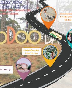 Tour Đà Lạt 1 ngày - tour tham quan sở thú Zoodoo -dulichdalat.tours