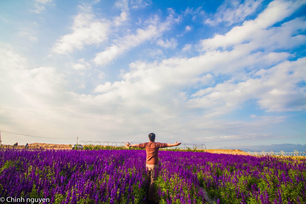 Tour Đà Lạt 1 Ngày –  Du lịch Đà Lạt 3 ngày 2 đêm cùng TA Travel