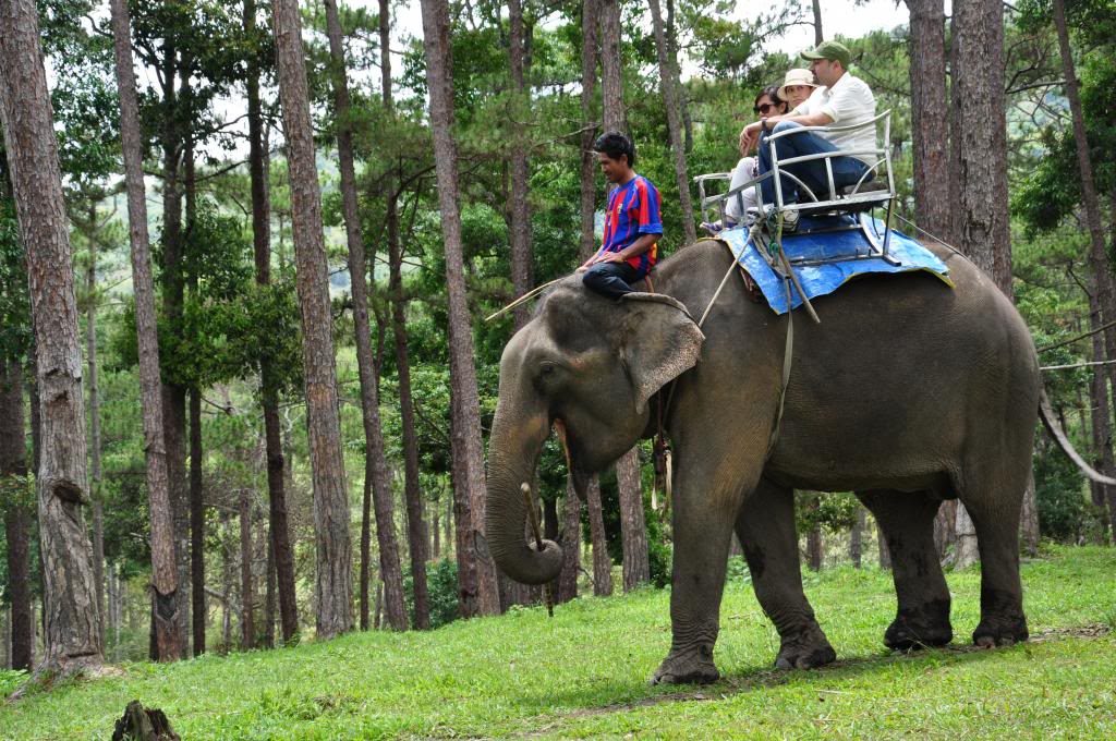 Tour Đà Lạt 1 Ngày –  Du lịch Đà Lạt 3 ngày 2 đêm cùng TA Travel