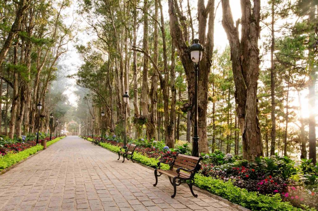 Tour Đà Lạt 1 Ngày –  Du lịch Đà Lạt 3 ngày 2 đêm cùng TA Travel