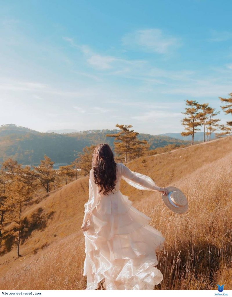 Tour Đà Lạt 1 Ngày –  Du lịch Đà Lạt 3 ngày 2 đêm cùng TA Travel