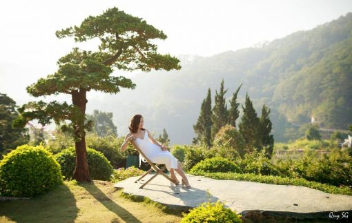 Góc chụp hình thần thánh với Bonsai cô đơn tại Quê garden.