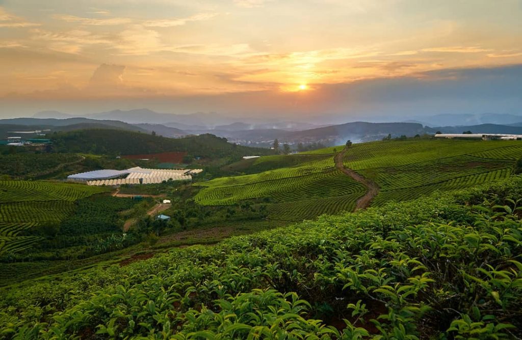 Tour Đà Lạt 1 Ngày –  Du lịch Đà Lạt 3 ngày 2 đêm cùng TA Travel