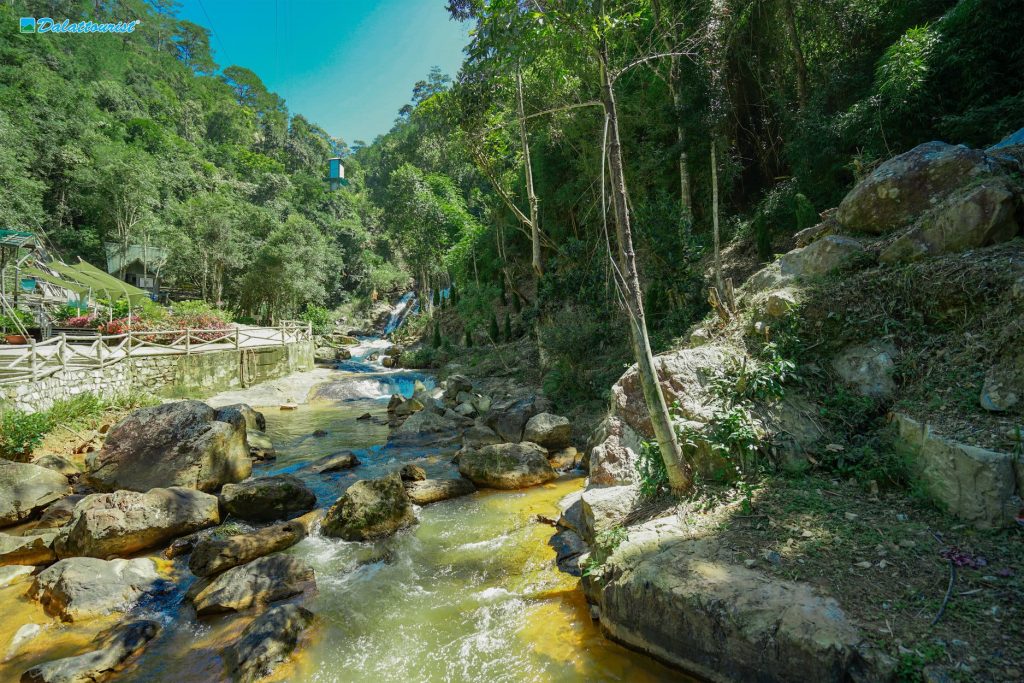Tour Đà Lạt 1 Ngày –  Du lịch Đà Lạt 3 ngày 2 đêm cùng TA Travel