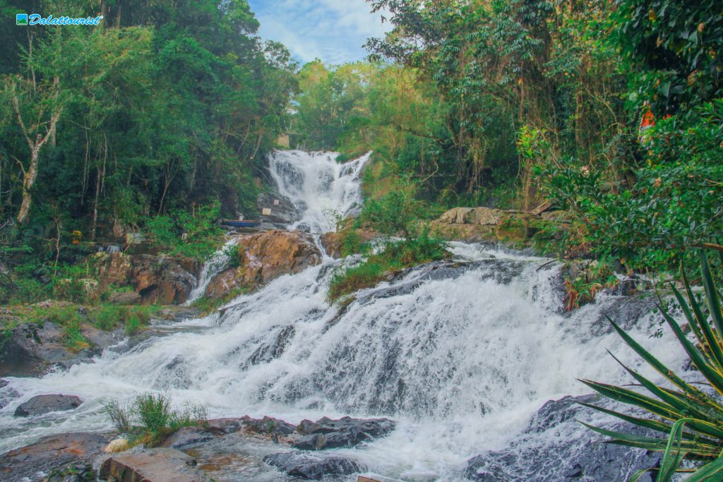 Tour Đà Lạt 1 Ngày –  Du lịch Đà Lạt 3 ngày 2 đêm cùng TA Travel