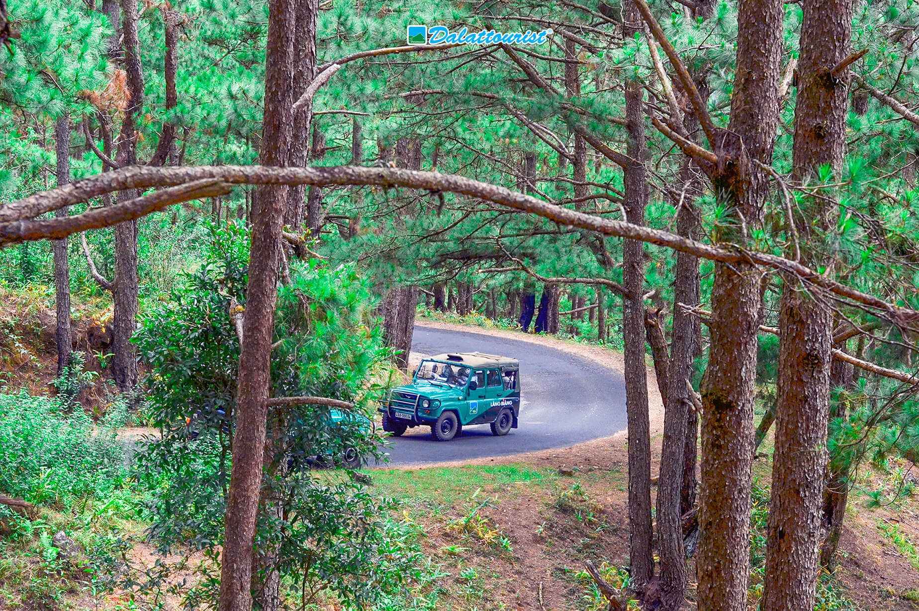 Xe jeep chinh phục con đường rừng uốn lượn đưa bạn lên đỉnh Langbiang.
