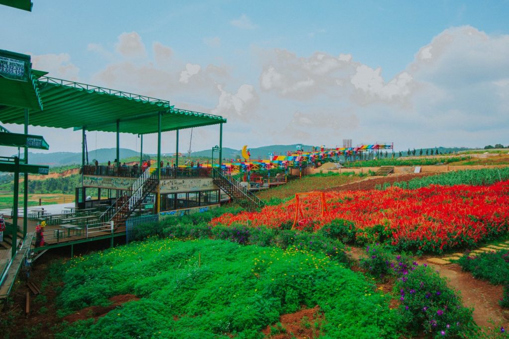 Tour Đà Lạt 1 Ngày –  Du lịch Đà Lạt 3 ngày 2 đêm cùng TA Travel