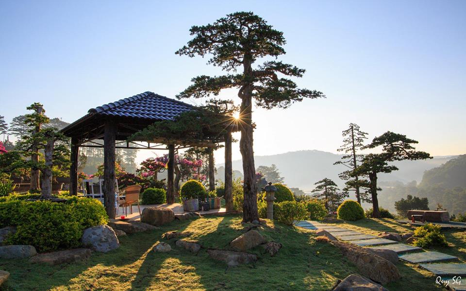 Một góc của khu vườn Bonsai đẹp xuất sắc tại Quê garden.