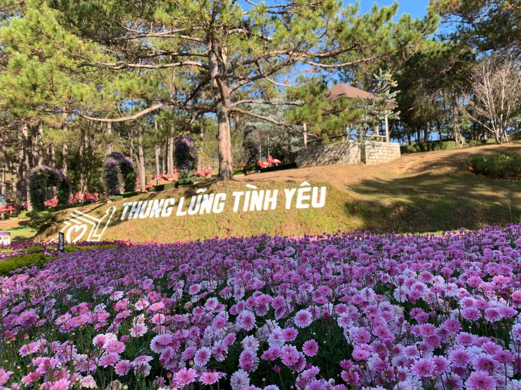 Tour Đà Lạt 1 Ngày –  Du lịch Đà Lạt 3 ngày 2 đêm cùng TA Travel