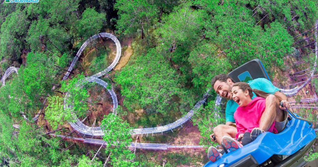 Tour Đà Lạt 1 Ngày –  Du lịch Đà Lạt 3 ngày 2 đêm cùng TA Travel