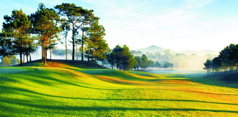 Sân golf Đà Lạt Palace Đồi Cù vào buổi sáng sớm với sương mù lãng vãng, sân cỏ Bent được trồng tỉ mẫn dưới những hàng thông cổ thụ xanh ngát. 