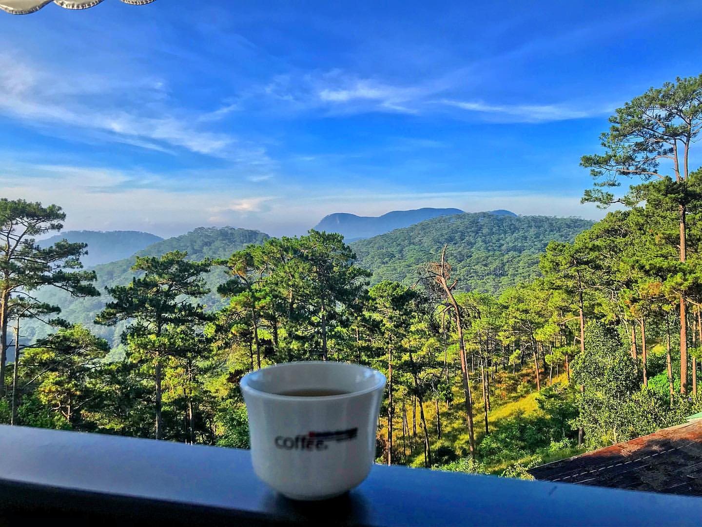 View rừng thông xanh ngát tại cà phê Bùi Văn Ngọ Đà Lạt.
