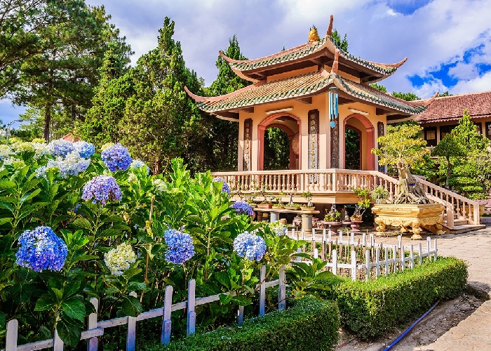 Lầu trống tại thiền viện Trúc Lâm Đà Lạt và 1 góc vườn hoa cẩm tú cầu khoe sắc.