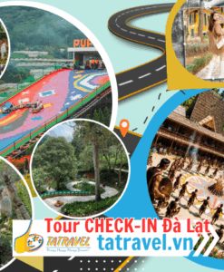 Tour Check in Đà Lạt những địa điểm hot nhất 2026
