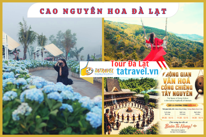 Tour check ịn Đà Lạt 1 ngày - Cao Nguyên Hoa Đà Lạt - Tour đà lạt 3 ngày 2 đêm - tour đà lạt 1 ngày - tatravel.vn-01