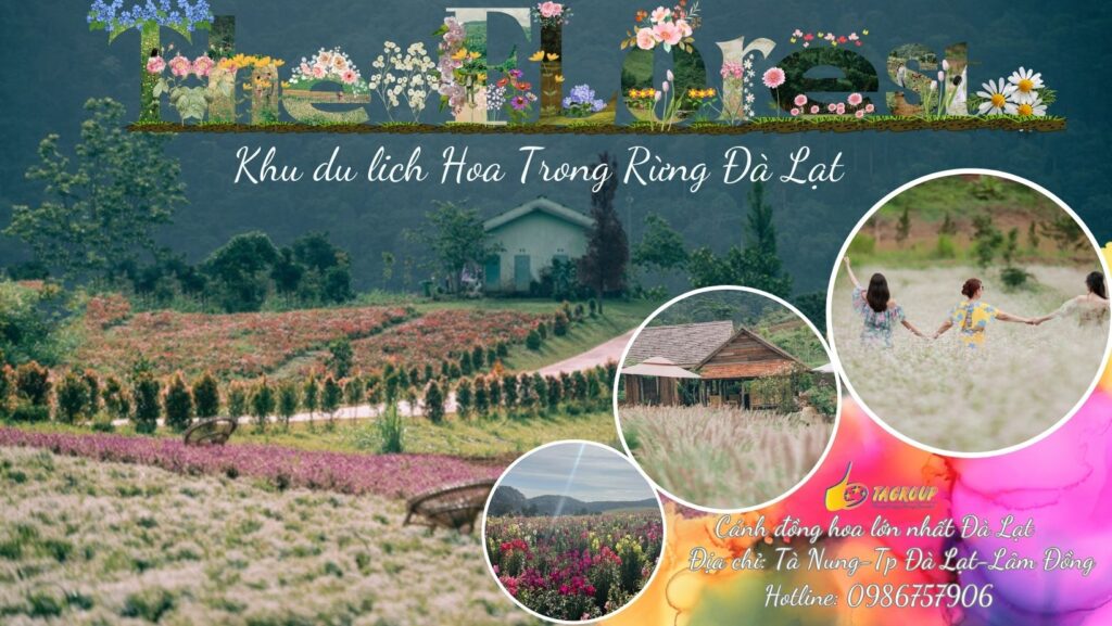 Tour Đà Lạt 1 Ngày –  Du lịch Đà Lạt 3 ngày 2 đêm cùng TA Travel