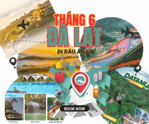 Tour Đà Lạt 3 ngày 2 đêm - Đà Lạt tháng 6 đi đâu ăn gì 2025