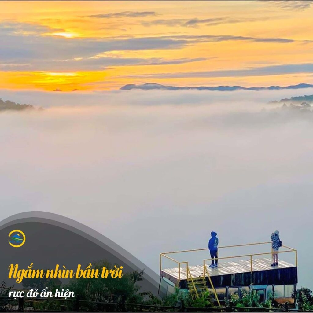 Săn Mây Đà Lạt - Tour săn mây ở Đồi Mây Đà Lạt