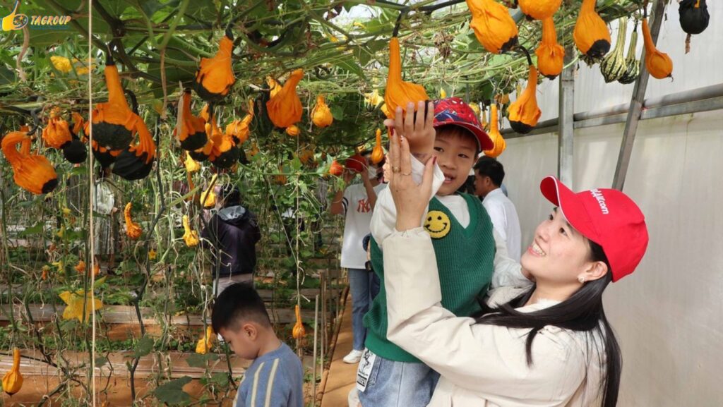 Tour Đà Lạt 1 Ngày –  Du lịch Đà Lạt 3 ngày 2 đêm cùng TA Travel