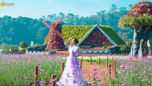 Tour Đà Lạt 3 ngày 2 đêm khám phá Thành Phố Ngàn Hoa 2025 - Hình ảnh 6