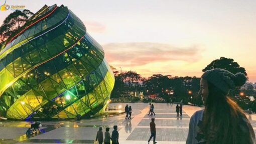 Tour Đà Lạt 3 ngày 2 đêm khám phá Thành Phố Ngàn Hoa 2025 - Hình ảnh 11