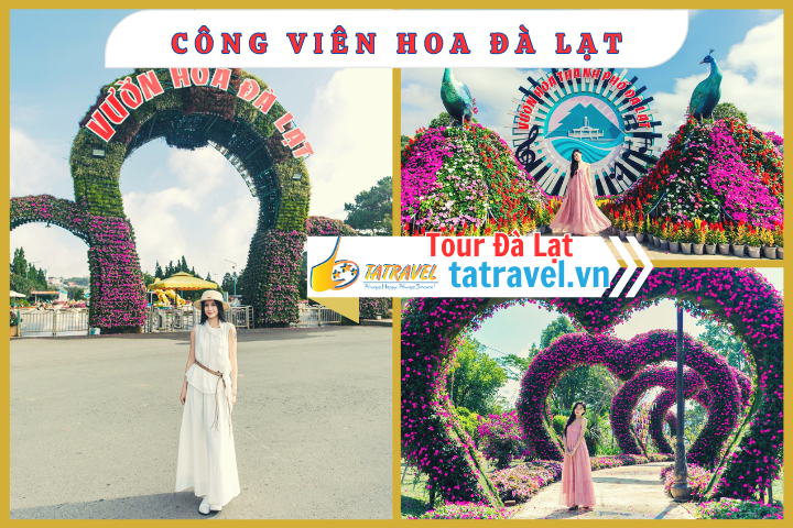 Tour lạc lối thành phố hoa Đà Lạt 1 ngày 2026 tham quan vườn hoa Đà Lạt