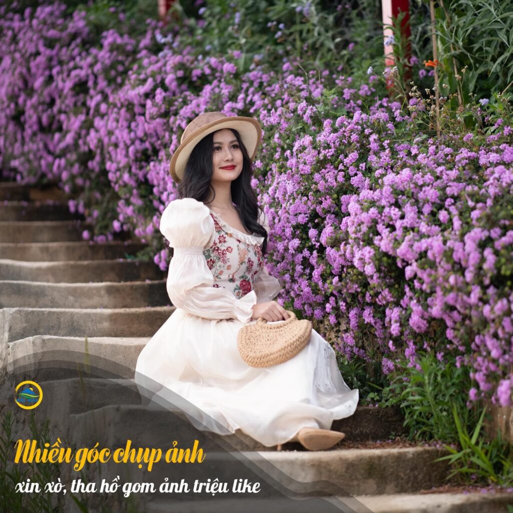 Tour Đà Lạt 1 Ngày –  Du lịch Đà Lạt 3 ngày 2 đêm cùng TA Travel