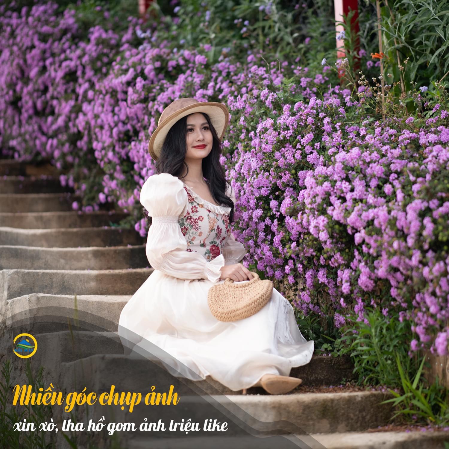 Tour Săn Mây Đà Lạt - Hình ảnh 5