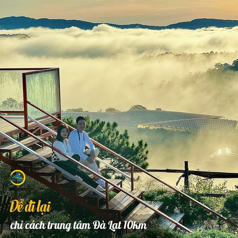 Tour Săn Mây Đà Lạt - Hình ảnh 9