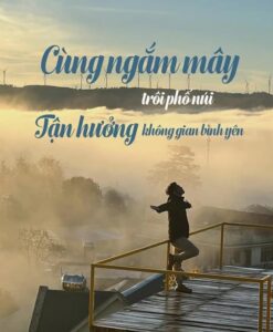 quán cafe đồi mây Đà Lạt - TOP 10 QUÁN CAFE NGOẠI THÀNH ĐÀ LẠT ĐẸP NHẤT 2026