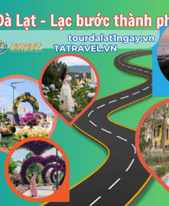 Tour Đà Lạt 1 ngày lạc lối thành phố hoa 2026 | TA Travel