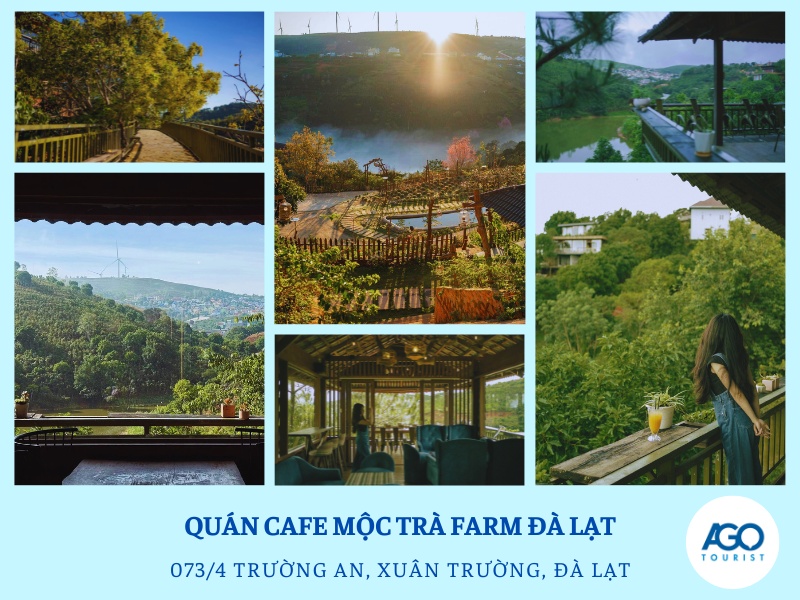 quán cafe Mộc Trà Đà Lạt - TOP 10 QUÁN CAFE NGOẠI THÀNH ĐÀ LẠT ĐẸP NHẤT 2026
